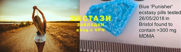 прущие грибы Ельня