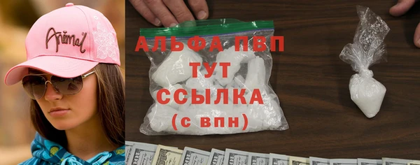 прущие грибы Ельня