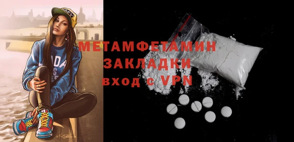 прущие грибы Ельня