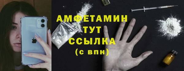 прущие грибы Ельня