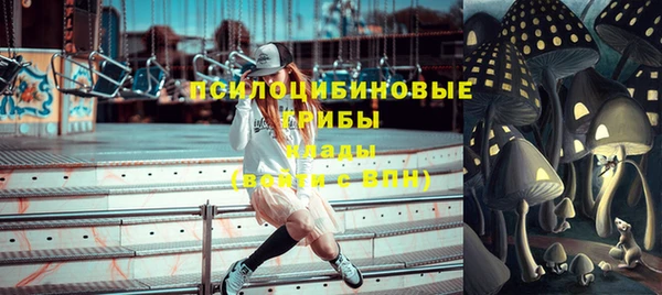 дживик Дмитриев