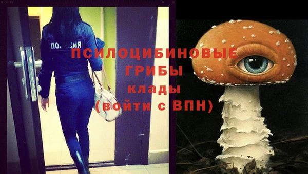 дживик Дмитриев