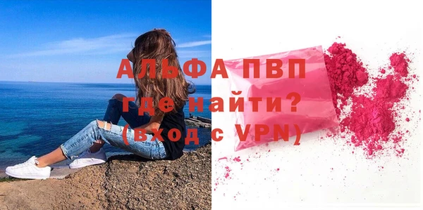 прущие грибы Ельня