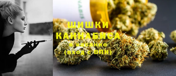 амф Дмитров
