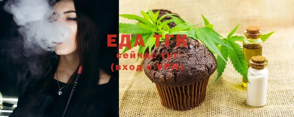 прущие грибы Ельня