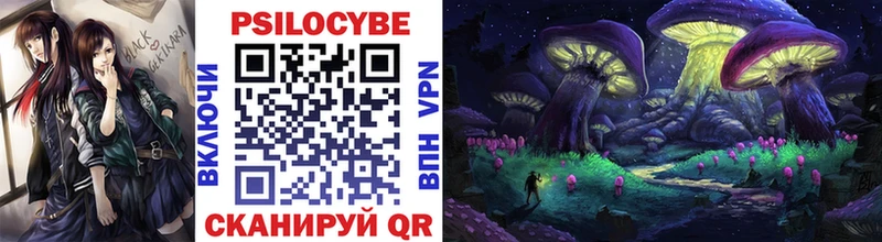Псилоцибиновые грибы Magic Shrooms  магазин    Зубцов 